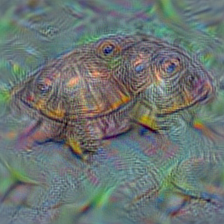 n01669191 box turtle, box tortoise